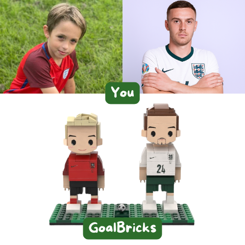 GoalBricks™